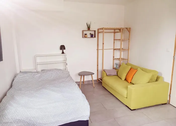 Studio Neuf Avec Jardin Partage