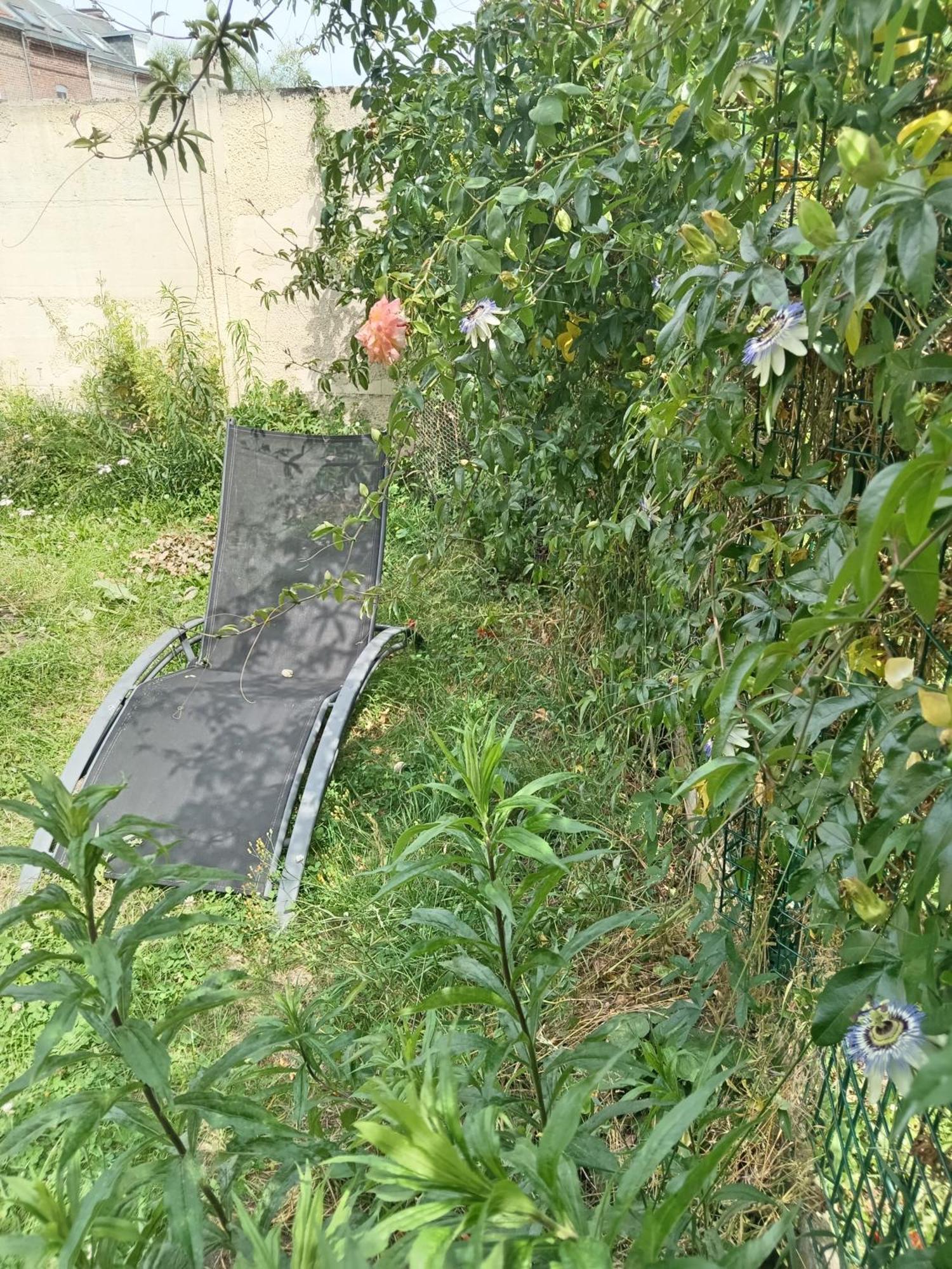 Neuf Avec Jardin Partage Amiens